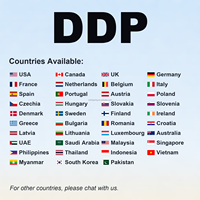 Agente de Transporte Marítimo de China a Francia DDP, Flete Marítimo para Amazon FBA y Entrega a Almacenes 3PL, Transitario de Carga de China