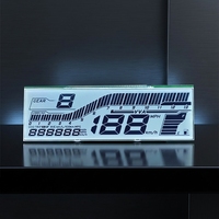 Layar LCD Speedometer Motor Berkualitas Tinggi Harga Terjangkau Custom VA HTN TN STN Segment Layar Skuter LED Backlight ROHS