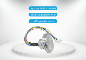 OEM 압전 게이지 압력/절대 압력 센서 SS316L/Hasteloy C 다이어프램 IP68 보호 0.1% FS 정확도 - Product Image 2