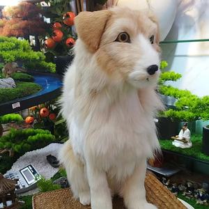 Estatua de cachorro de Border <span class=keywords><strong>Collie</strong></span> de <span class=keywords><strong>pastor</strong></span> alemán realista sentado/De pie, accesorio de película de piel Real, decoración de jardín de resina sólida para el hogar - Product Image 4