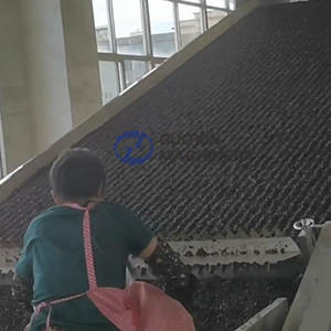 Machine de séchage à bande transporteuse continue pour soja, machine de séchage à bande transporteuse pour haricots noirs fermentés - Product Image 4