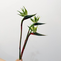 Zachte aanraking, enkelvoudige steel Paradijsvogelbloem, hoogwaardige kunstbloem, artistiek bloemstuk voor bruiloften en thuis, groothandel