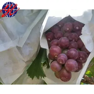 Sacchetto d'uva sacchetto di carta per la protezione dell'uva sacchetto di carta impermeabile per la vendita calda del perù per frutta e verdura personalizza il Logo accetta CN;SHN