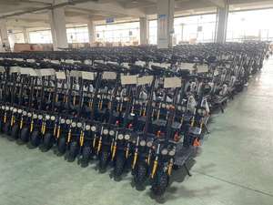 Patinete Eléctrico Todoterreno Plegable para Adultos de 800W con Neumático de Vacío de 10 Pulgadas y Dispositivo de Rueda Plana - Product Image 5