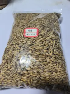 Best Price Food Grade Natural Barley Malt Extract Powder