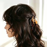 Pinces à cheveux en acétate personnalisées, motif oiseau mignon et coloré, pour usage quotidien et occasions festives, accessoires de coiffure pour femmes