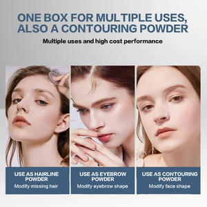 Poudre de fard à paupières pour <span class=keywords><strong>cheveux</strong></span> ALIVER, 10 couleurs, imperméable, poudre pour la ligne des <span class=keywords><strong>cheveux</strong></span>, retouche des racines, couleur de <span class=keywords><strong>cheveux</strong></span> pour couvrir les <span class=keywords><strong>cheveux</strong></span> gris, pour femmes et hommes - Product Image 6