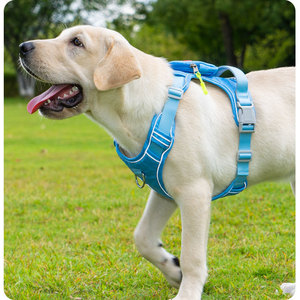 <span class=keywords><strong>Harnais</strong></span> <span class=keywords><strong>anti</strong></span>-traction pour chien avec laisse, gilet réfléchissant <span class=keywords><strong>anti</strong></span>-traction, ceinture de poitrine rembourrée réglable et douce pour chiens de grande et moyenne taille - Product Image 2