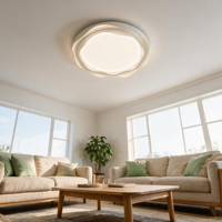 Plafonnier LED AC à spectre complet, design moderne, structure en fer, 220V, commande par interrupteur, IRC 97, garantie 2 ans, 50000 heures, pour chambre à coucher