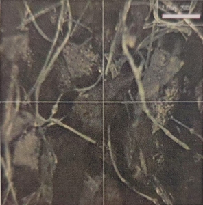 Khử Mùi mặt nạ không khí bột dạng hạt than hoạt tính viên sợi lọc phương tiện truyền thông Mặt Nạ Lọc phương tiện truyền thông tan chảy than hoạt tính - Product Image 2