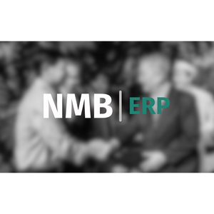 ERP tedesco con integrazione AI e filtro di protezione GDPR - Product Image 1