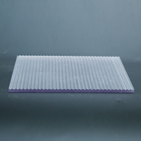 Panneaux de toiture transparents nervurés personnalisés au prix d'usine OEM, en polycarbonate résistant aux UV, solides et texturés