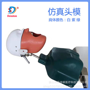 Modelo de Cabeza de Simulación Dental Dansdon con Boca Reemplazable para Prácticas de Enseñanza Oral, Fabricado en Foshan - Product Image 5