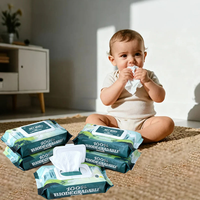 Échantillon Gratuit Fournisseur de Lingettes Humides Personnalisées 100% Biodégradables Écologiques Jetables Non Tissées Biologiques Non Parfumées pour Bébé