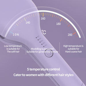 2023 Einstellbare Wellenhöhe Hot Waver Lockens tab Keramik Elektrischer Friseursalon Lockens tab Tong Crimper Tools Locken wickler - Product Image 3