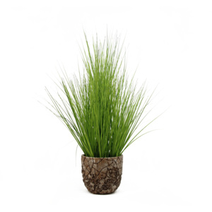 2024 nouveau Design pas cher Mini petite plante en pot faux vert séché <span class=keywords><strong>pampa</strong></span> <span class=keywords><strong>herbe</strong></span> artificielle semis <span class=keywords><strong>herbe</strong></span> pour <span class=keywords><strong>la</strong></span> maison bureau décor - Product Image 2