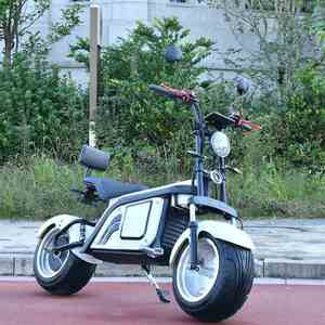 <span class=keywords><strong>Moto</strong></span> électrique chinoise 1500W pour adulte Super Motos électrique - Product Image 4