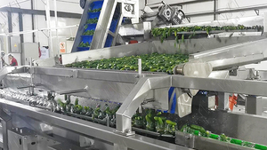Produktionslinie für verstärkte Nudeln für Rindfleischbestand einschließlich Karotten Kartoffeln grüne Bohnen Mais für die Verpackung von Konserven - Product Image 6