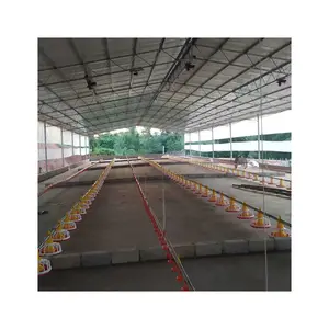 Fully automatic broiler chicken coop floor feeding system for Chicken