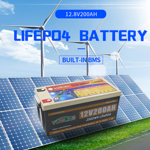 Camping Car Motorhome <b>Battery</b> for Deep Cycle 12V <b>24V</b> Pack 12.8V 200ah 100ah - Product Image 2