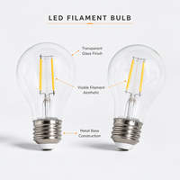 Ampoule à filament LED A60 personnalisée, résistante aux hautes températures, anti-choc, lampe vintage avec couleur de filament réglable