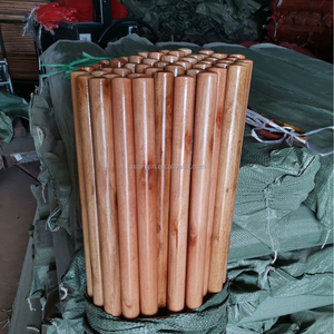 Manche de balai en bois écologique le plus vendu avec poils en plastique, design portable, doux et imperméable, longueur 120 cm - Product Image 2