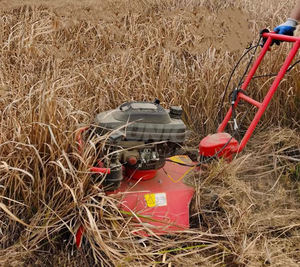 Petite rotoculteur gestion agricole rotoculteur automoteur petit réservoir tondeuse à gazon - Product Image 4