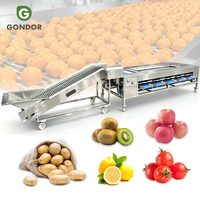 Citroen Guave Sorteermachine Fruit Sorteermachine Kardemom Mango Wassen Wassen en Wassen Productielijn Machine voor Kiwi