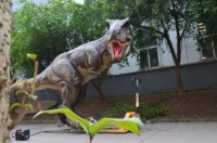Modèle de dinosaure animatronique T-Rex réaliste de qualité supérieure, prix usine Zigong, robot dinosaure, modèles animatroniques en promotion usine