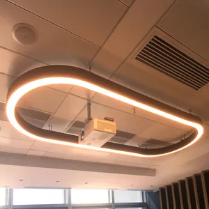 Indoor Led Lineaire Aluminium Ovale Baanverlichting Doorlopende Gebogen Lichten Voor Autodealer Winkel