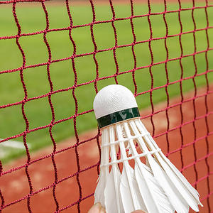 <span class=keywords><strong>Filet</strong></span> <span class=keywords><strong>de</strong></span> <span class=keywords><strong>badminton</strong></span> Fangsheng 20x2.5FT, durable, rouge et vert, en nylon PE <span class=keywords><strong>de</strong></span> qualité, pour l'extérieur et l'intérieur, pour le sport, la cour, la plage, le <span class=keywords><strong>jardin</strong></span> - Product Image 3