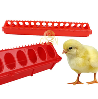 QianQin Mangeoire à poulet en plastique de longueur supplémentaire pour l'élevage de volailles d'oiseaux de caille