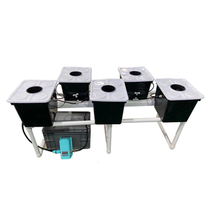 Hydroponics tomato growing system mist bucket hydroponic grow bucket system