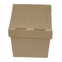 Grandes boîtes de rangement en papier kraft de taille personnalisée Boîte en carton pour documents de banquier Boîte en carton ondulé avec couvercle
