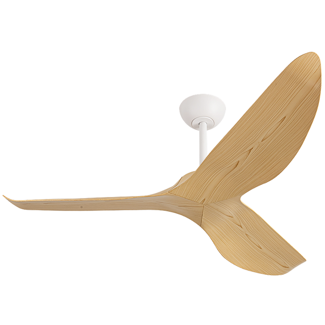 HSG Modern Decorative 52 Inch Ceiling Fan Without Light BLDC Motor Ceiling Fan