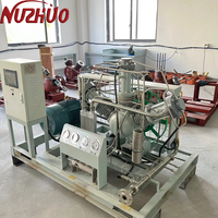 Compresseur de surpression d'azote NUZHUO à économie d'énergie pour le remplissage de bouteilles, station de remplissage d'azote, avec certifications CE ISO TUV