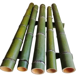 QY Herb Meilleur Choix : Achetez de la Poudre d'Extrait de Bambou de Qualité Alimentaire - Product Image 4