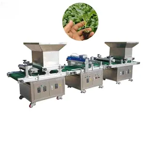 Automazione semi di lattuga per piantare semi nelle macchine per la semina del vassoio delle piantine