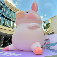 Dessin animé gonflable Anime modèle gonflable Moon Mall grande poupée mascotte modèle lumineux fleur poupée d'amour