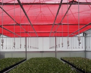 30% 40% 50% 60% 70% 90% 그늘 패브릭 태양 그늘 천/malla 솜브라 롤로 야채 녹색 그늘 그물 - Product Image 4