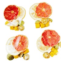 Thé Froid International aux Fruits Assortis (Pamplemousse, Citron, Fruit de la Passion, Pomme, Astragale, Kumquat) Lyophilisé 25g Sans Sucre OEM