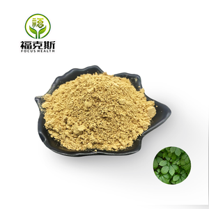 ジペノシド80% 98%  糸霊芝葉エキス / ギノステマ・ペンタフィルムエキス粉末 糸霊芝エキス 5:1 10:1 20:1 30:1 50:1 - Product Image 3