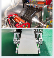 Machine de remplissage et de scellage de perles de lessive à contrôle de température par PLC pour fabricants de détergents