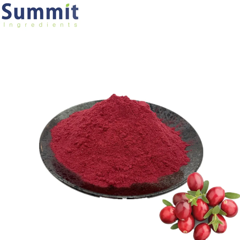 High Quality Cranberry juice powder Cranberry Fruit juice powder Cranberry Powder