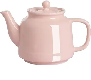 带浸泡器的瓷茶壶和带不锈钢过滤陶瓷茶壶的盖子茶具