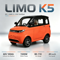 Voiture électrique à faible vitesse homologuée UE, nouvelle énergie, homologation CEE COC 45 km/h, petite voiture électrique chinoise pour adultes