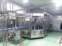 Automatische industriële sap productielijn, ananassap productielijn