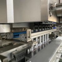 Machine d'emballage de sachets liquides multivoies Machine d'emballage de bâtonnets de gelée de miel de jus