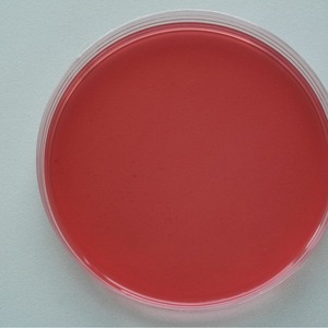 Boîtes de Petri Huankai 90 mm, 20 unités, qualité réactif pour la détection microbienne, usage expérimental - Product Image 1