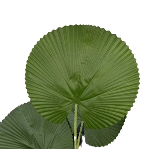 <span class=keywords><strong>Palmier</strong></span> artificiel <span class=keywords><strong>Licuala</strong></span> Plante en faux bonsaï <span class=keywords><strong>Palmier</strong></span> artificiel en pot Plante artificielle pour décoration d'intérieur - Product Image 5